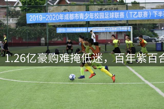 1.26亿豪购难掩低迷，百年紫百合陷困局
